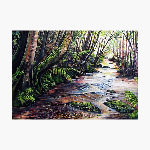 Along the Creek, Blue Mountains Photographic Print