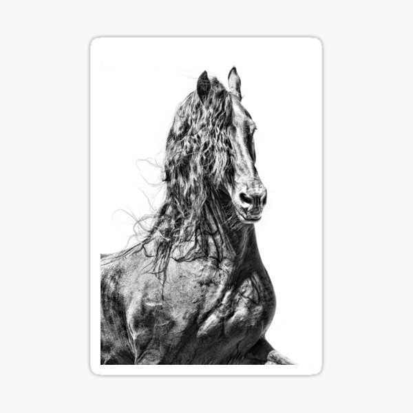 Item preview, Friesian Stallion Hotse designed and sold by NadeenD.