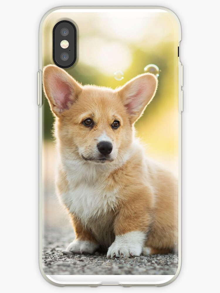 coque iphone 6 corgi coque iphone 6 corgi