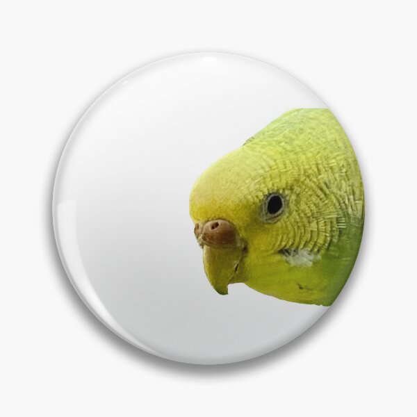 Item preview, Parakeet - Female Yellow and Light Green Opaline Spangle designed and sold by RingDeer.