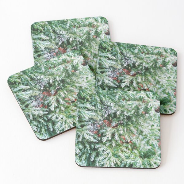 Item preview, Fir tree covered with drops of rain designed and sold by helenkaiy.