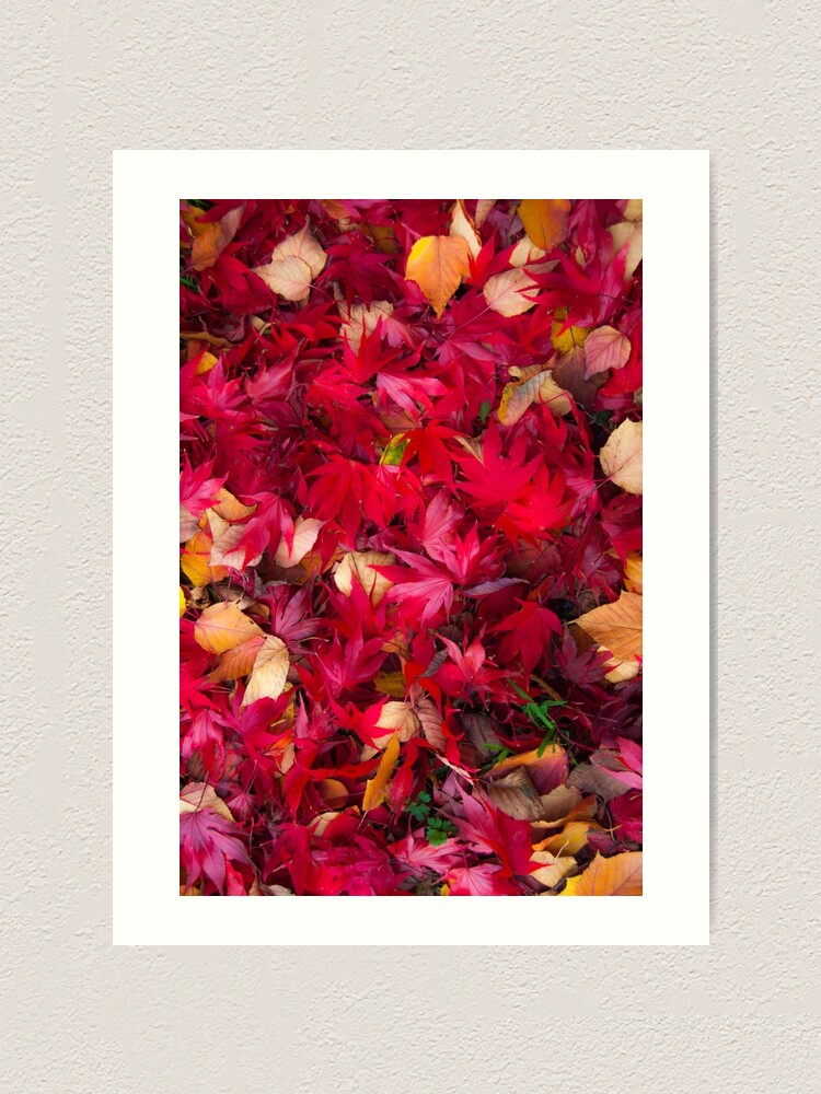 Alternate view of Red Art Print