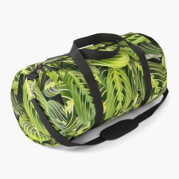 Item preview, Plant - Wide Leaf Tropical Variegated Patterned Dark and Light Green designed and sold by RingDeer.