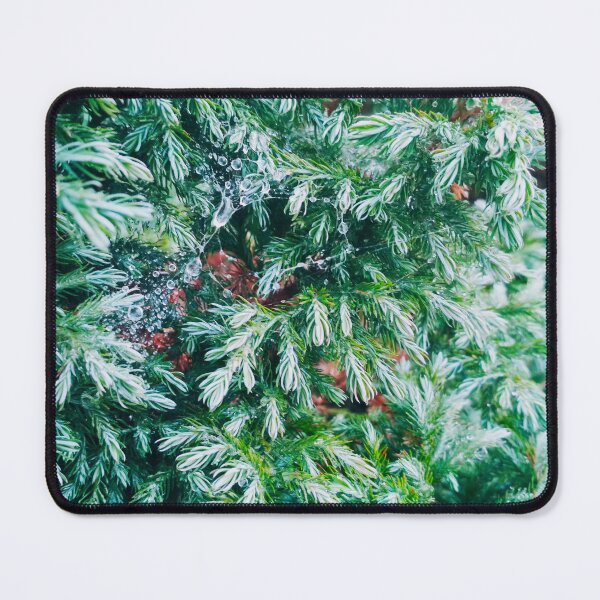 Item preview, Fir tree covered with drops of rain designed and sold by helenkaiy.