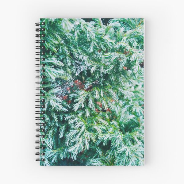 Item preview, Fir tree covered with drops of rain designed and sold by helenkaiy.