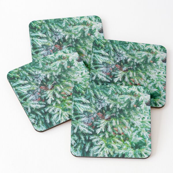 Item preview, Fir tree covered with drops of rain designed and sold by helenkaiy.