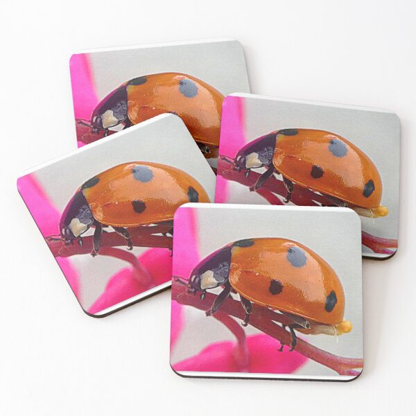 Item preview, Coccinelle designed and sold by angel1.