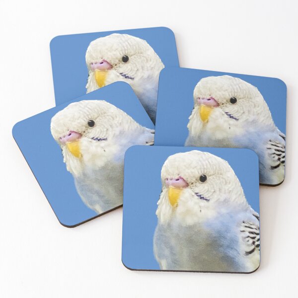 Item preview, Parakeet - Female Pied Sky Blue and White Opaline Spangle designed and sold by RingDeer.