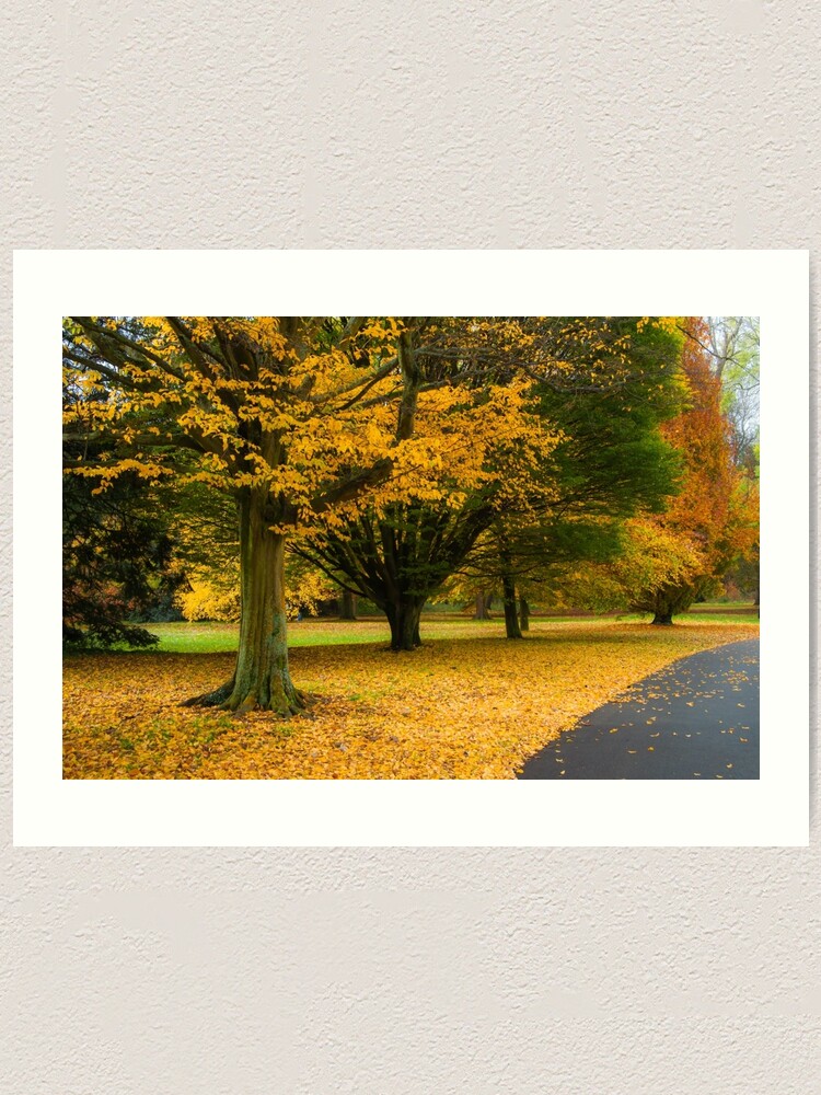 Alternate view of Golden Brown Art Print