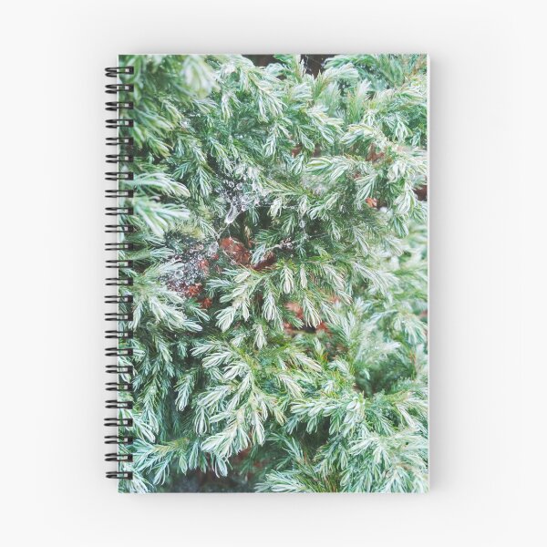 Item preview, Fir tree covered with drops of rain designed and sold by helenkaiy.