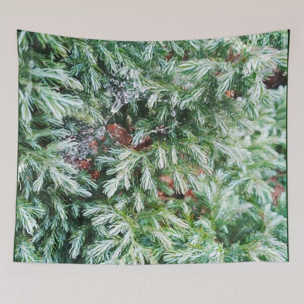 Item preview, Fir tree covered with drops of rain designed and sold by helenkaiy.