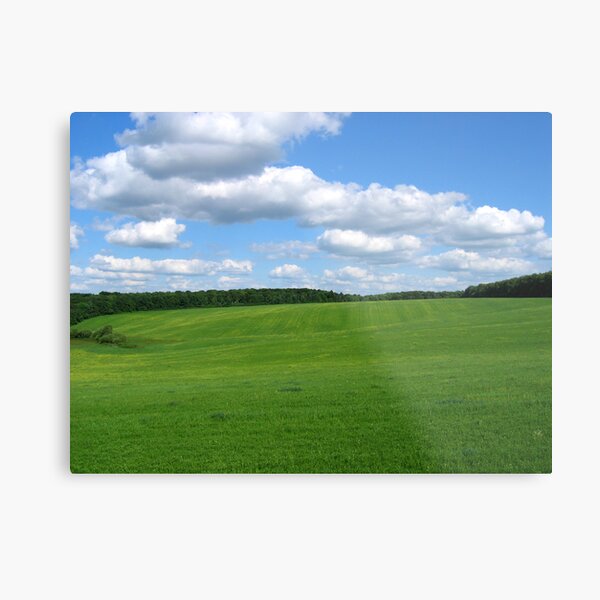 Nice landscape Metal Print