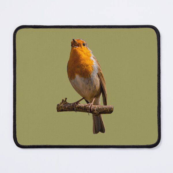Item preview, Morning birdsong designed and sold by Dalyndigital Photography.