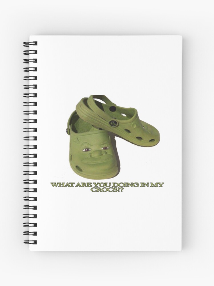 oh you thought id get shrek crocs and not immediately do a
