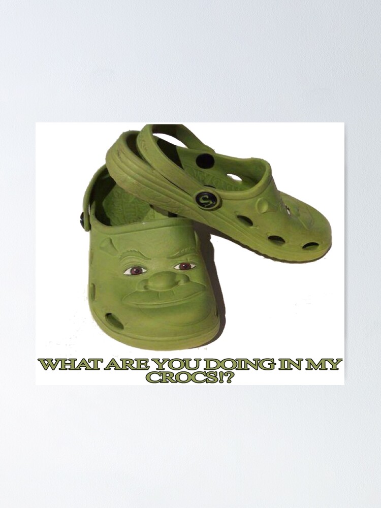 Funny Shrek Crocs Clog Shoes - CrocsBox