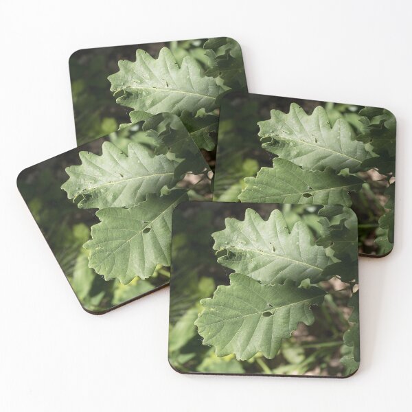 Item preview, hojas de roble designed and sold by Milan Latta.