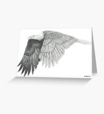 Eagle Greeting Card
