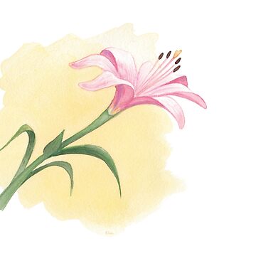 Artwork thumbnail, The Last Lily to Bloom by Breanna Cooke