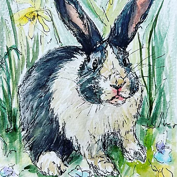 Artwork thumbnail, Dutch Rabbit by AnjuPaintings
