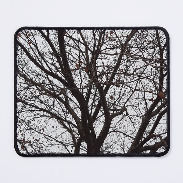 Item preview, Branches of a tree in winter designed and sold by kyoungwon Woo.