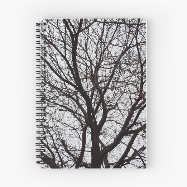 Item preview, Branches of a tree in winter designed and sold by kyoungwon Woo.