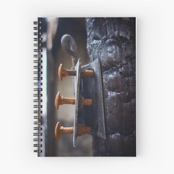 Item preview, Urbex Photography | Rust screws on burnt wood designed and sold by Cora Wirth.