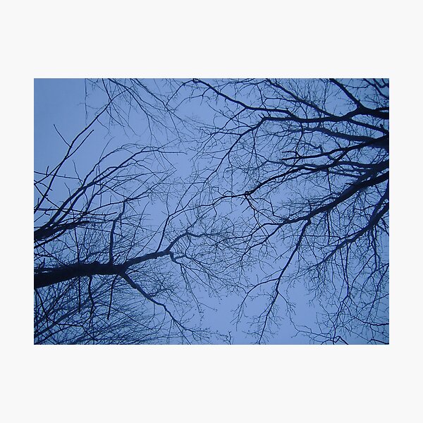 Aperçu de l'œuvre look up créée et vendue par spiralsofwhite.