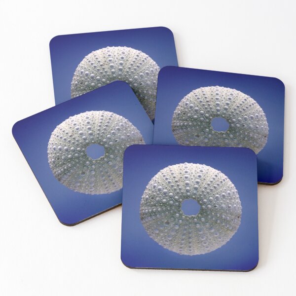 Item preview, Urchin Seashell designed and sold by iago rodriguez dopico.