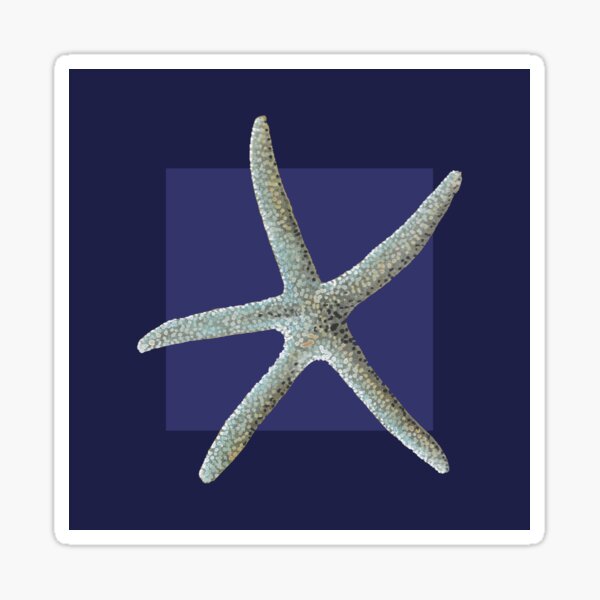 Starfish in navy Sticker