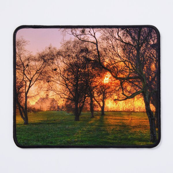 Item preview, Evening Sun Golden Glow designed and sold by Paul Thompson Photography.