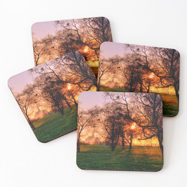 Item preview, Evening Sun Golden Glow designed and sold by Paul Thompson Photography.