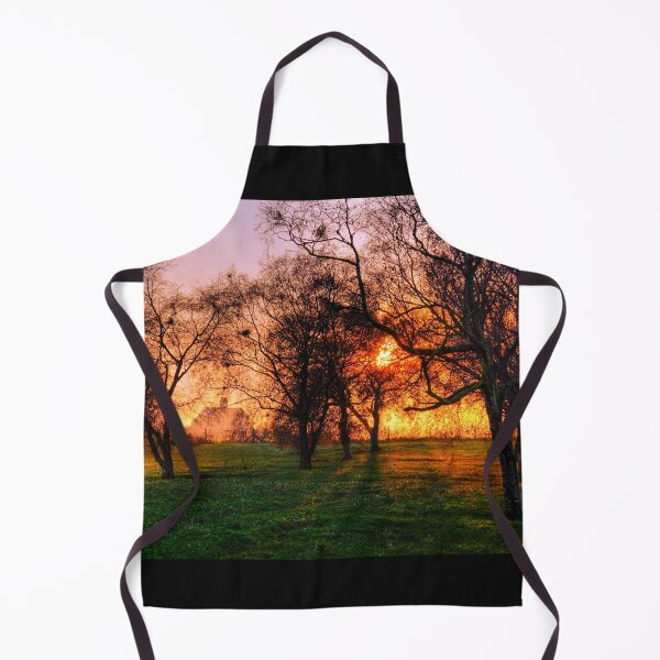 Item preview, Evening Sun Golden Glow designed and sold by Paul Thompson Photography.