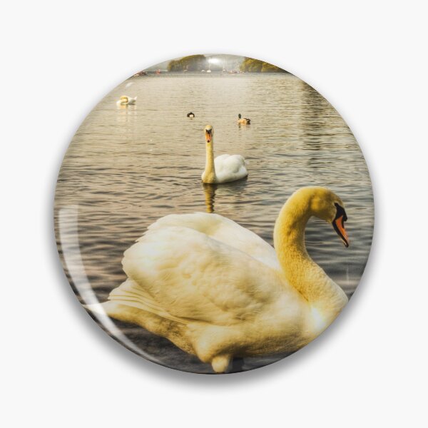 Item preview, Windermere Mute Swan designed and sold by Paul Thompson Photography.