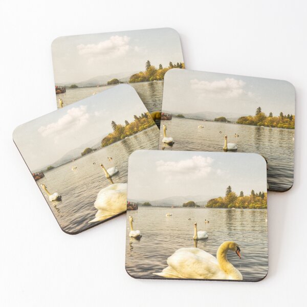 Item preview, Windermere Mute Swan designed and sold by Paul Thompson Photography.