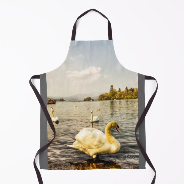 Item preview, Windermere Mute Swan designed and sold by Paul Thompson Photography.