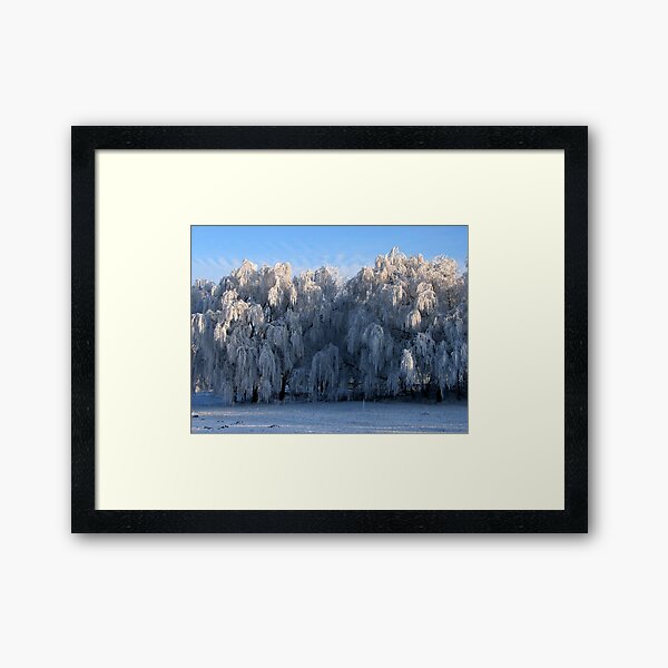Winter Framed Art Print