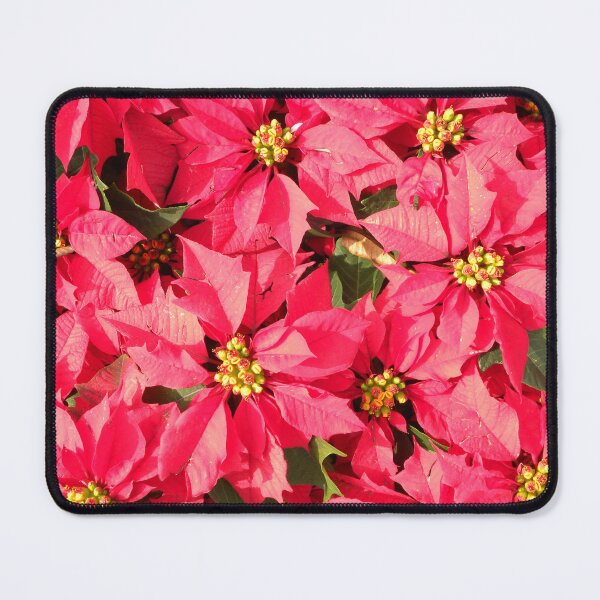 Item preview, Beautiful flowers that stimulate the eyes designed and sold by kyoungwon Woo.