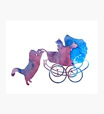 Cats Photographic Print