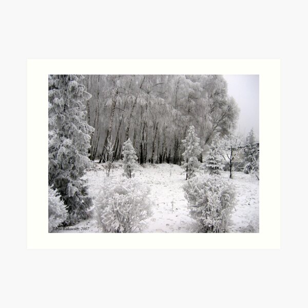 Winter Art Print