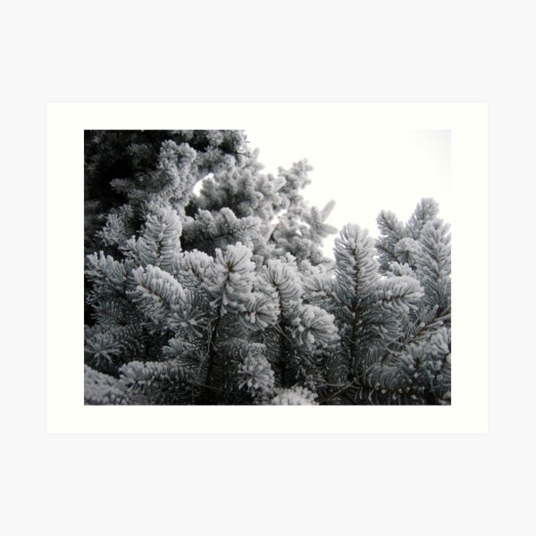 Winter Art Print