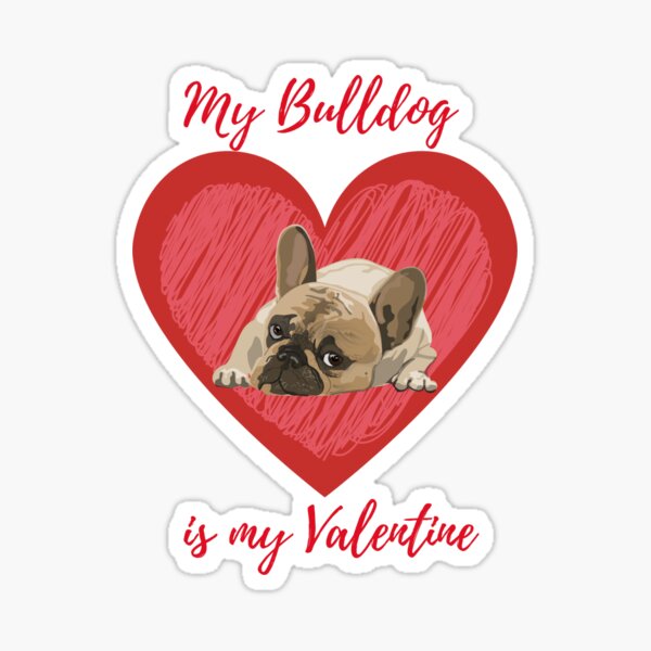 My cute french bulldog is my valentine Sticker