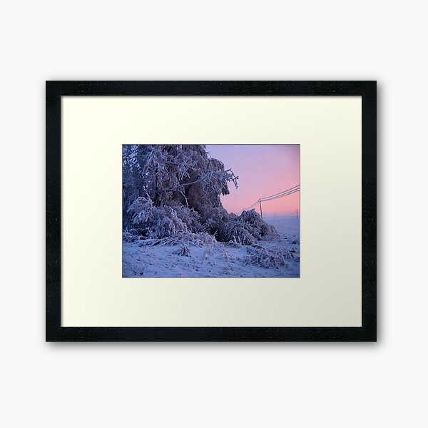Winter Framed Art Print