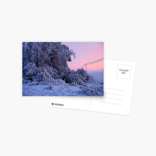 Winter Postcard