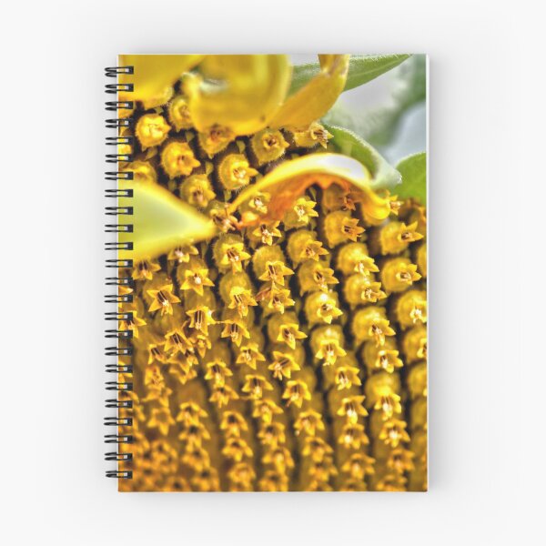 Item preview, Sunflower Macro designed and sold by Larry Trupp.