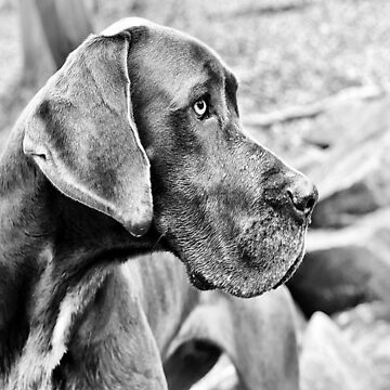 Artwork thumbnail, Blue Black Great Dane by Slinky-Reebs