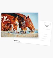 Drinking Buddies - Color Postcards