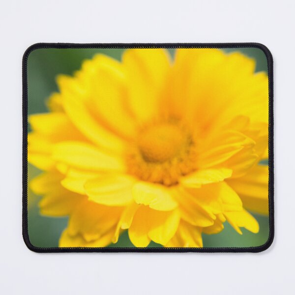 Item preview, Yellow Peddles designed and sold by Alanafinephoto.