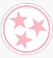 Pink Tennessee State Flag Sticker