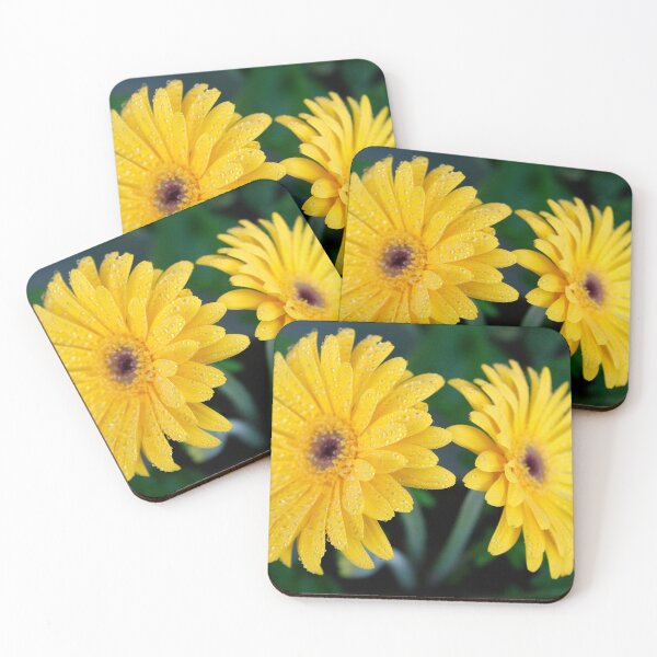 Item preview, Two Gerberas designed and sold by iago rodriguez dopico.