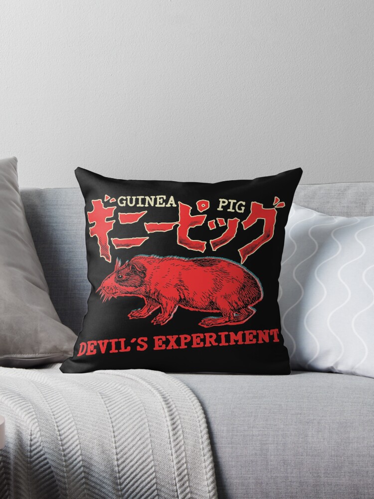 The Throw Pillows Experiment